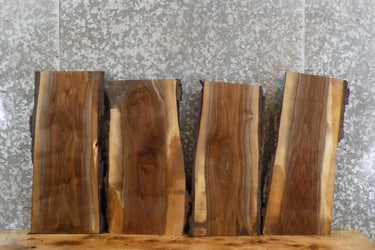 4- Live Edge Black Walnut Wall Shelf/Taxidermy Mount Slabs 1873-1876